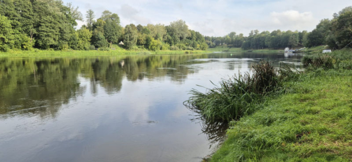 WhatsApp Image 2025-09-13 at 09.08.10