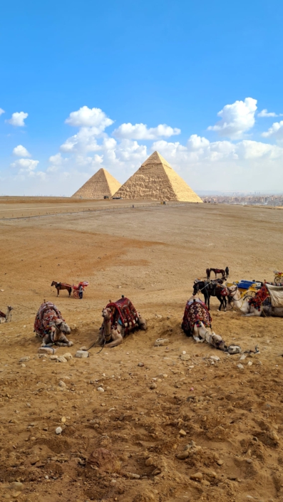 342b9a01-7204-4a1b-a7ac-231543b20f5a