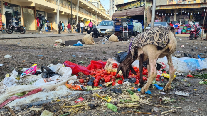 WhatsApp Image 2025-11-29 at 20.36.48