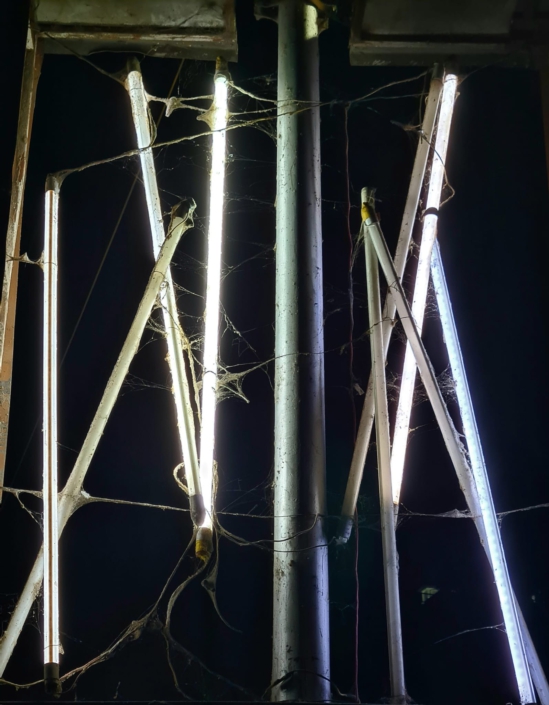 ff293362-7b35-4a7e-9bcd-8252eadb6f29